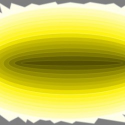 The black hole